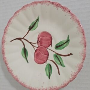 Vintage Unmarked Blue Ridge Pottery Floral Ceramic Saucer